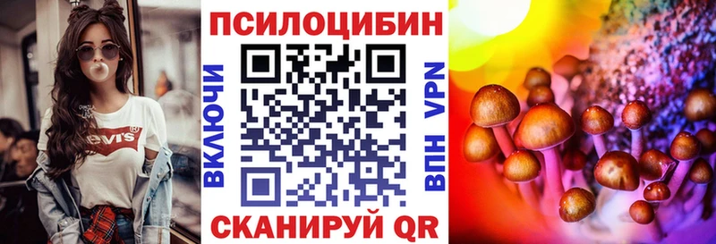 Купить где  Пудож  Галлюциногенные грибы Psilocybine cubensis 